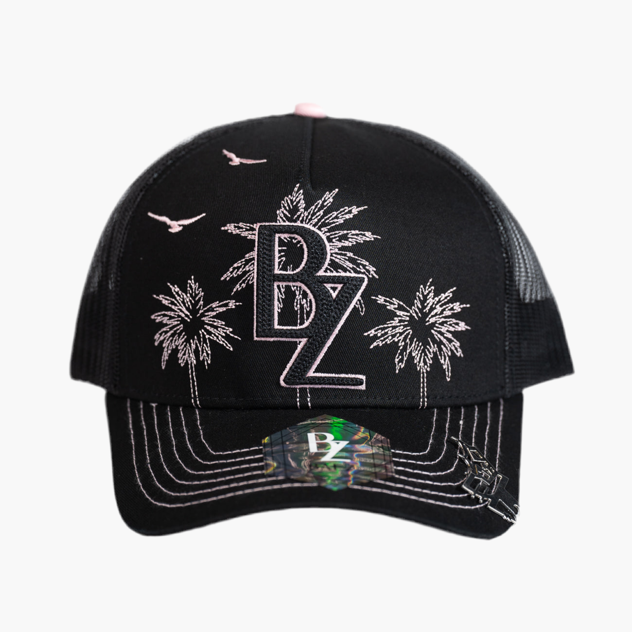 BZ PALMS