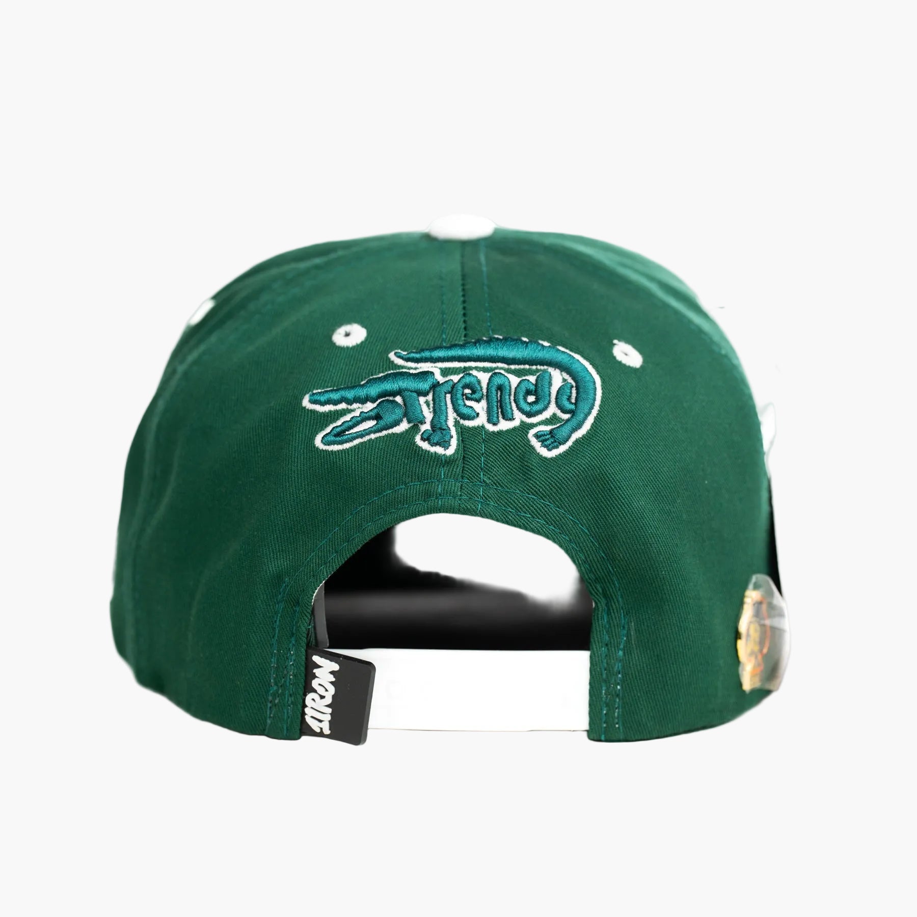 ALLIGATOR