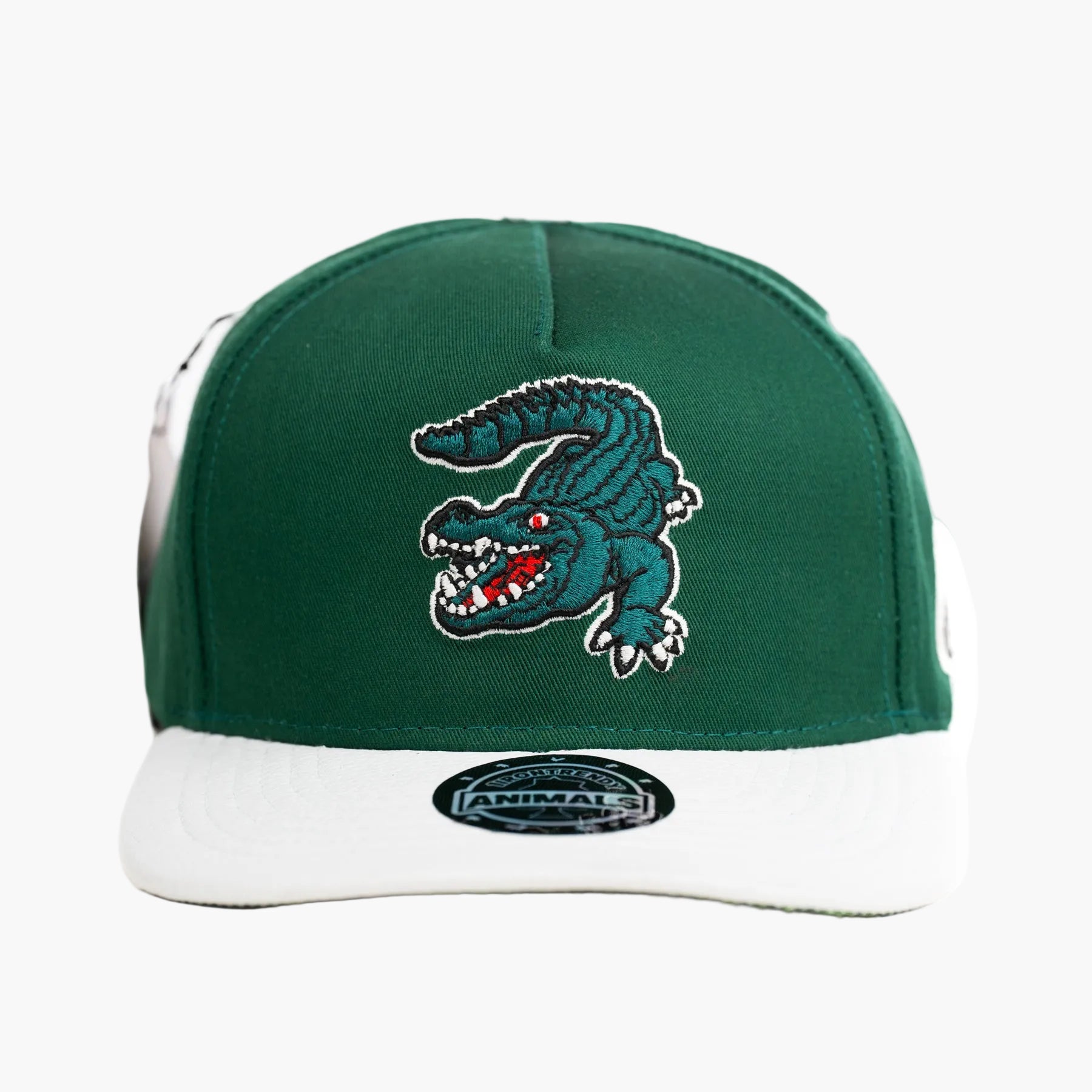 ALLIGATOR
