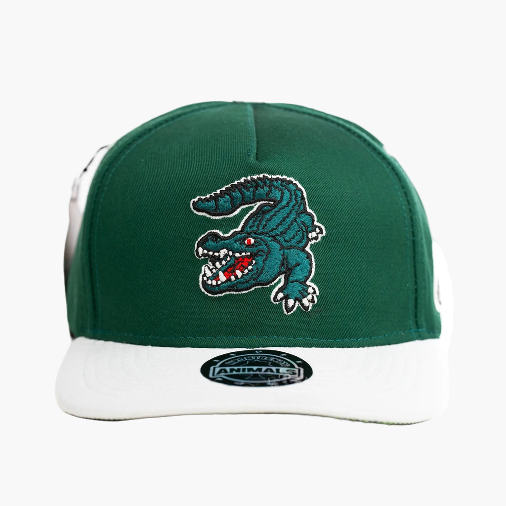 alligator