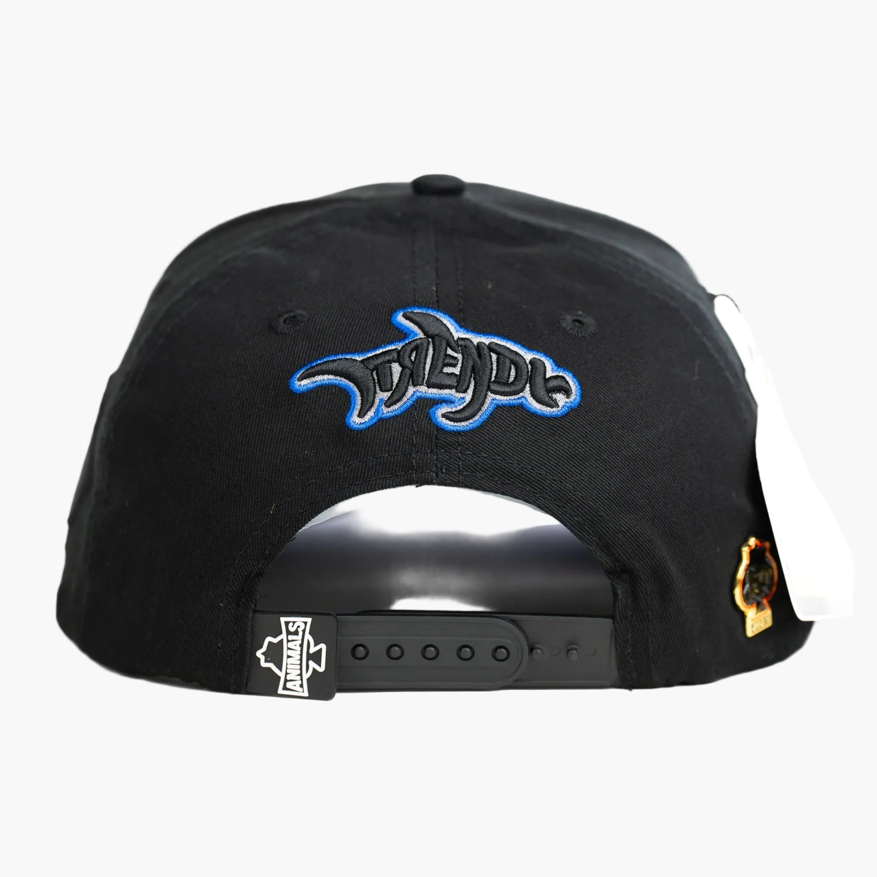 SHARK BLACK