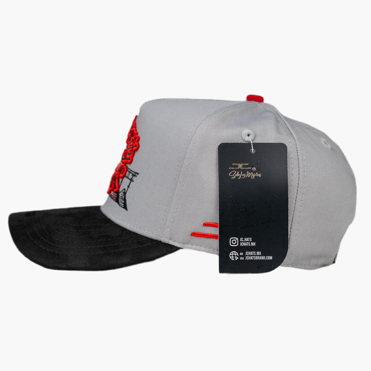 UNIVERSITY OF LIFE GRAY