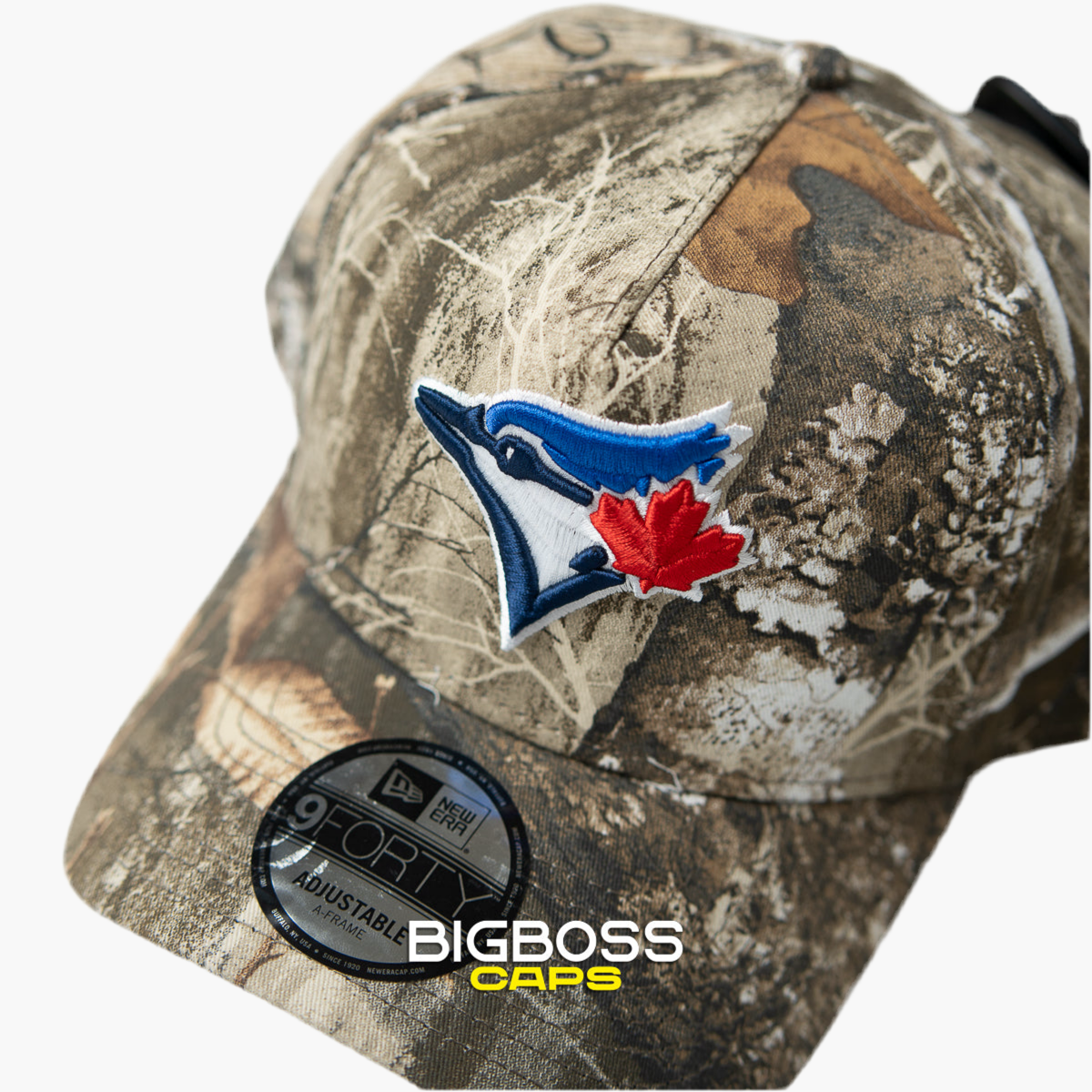 TORONTO BLUE JAYS