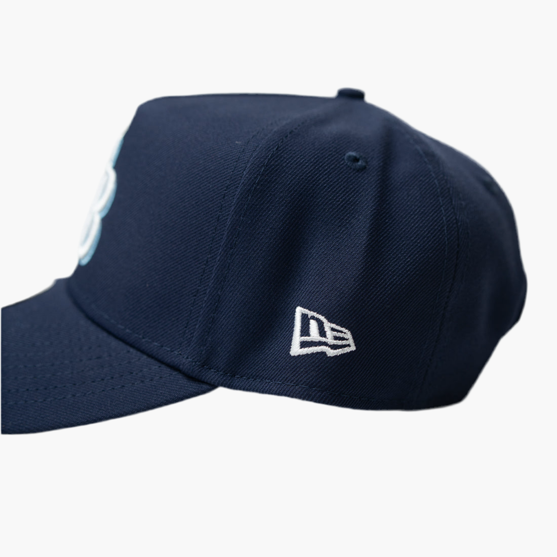 TAMPA BAY RAYS