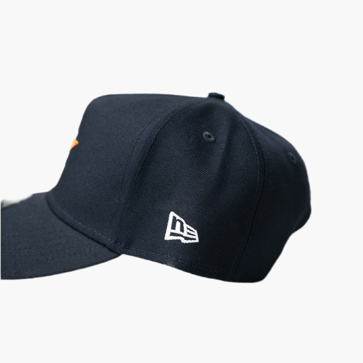 HOUSTON ASTROS