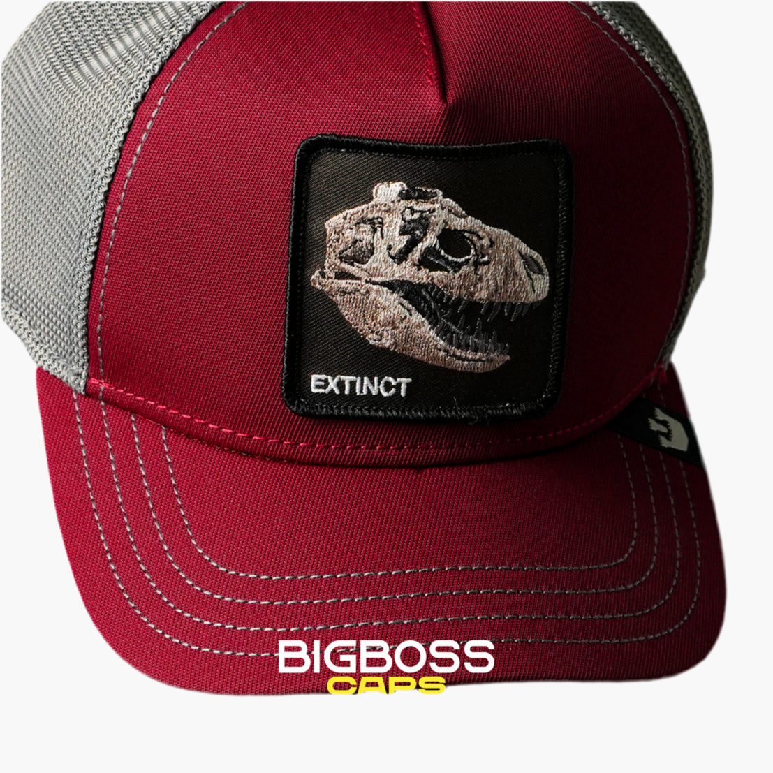 Extinct