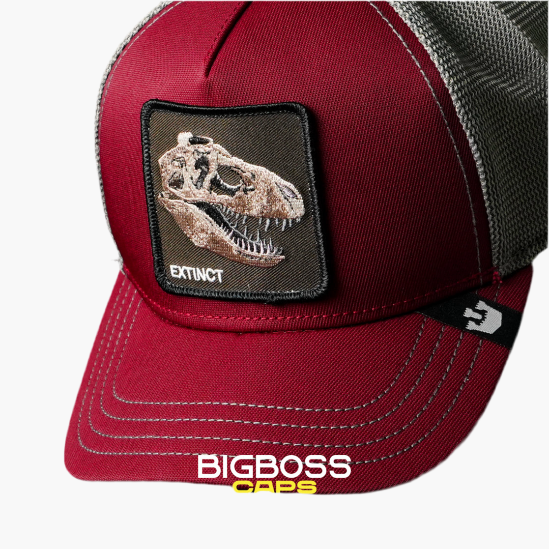 Extinct