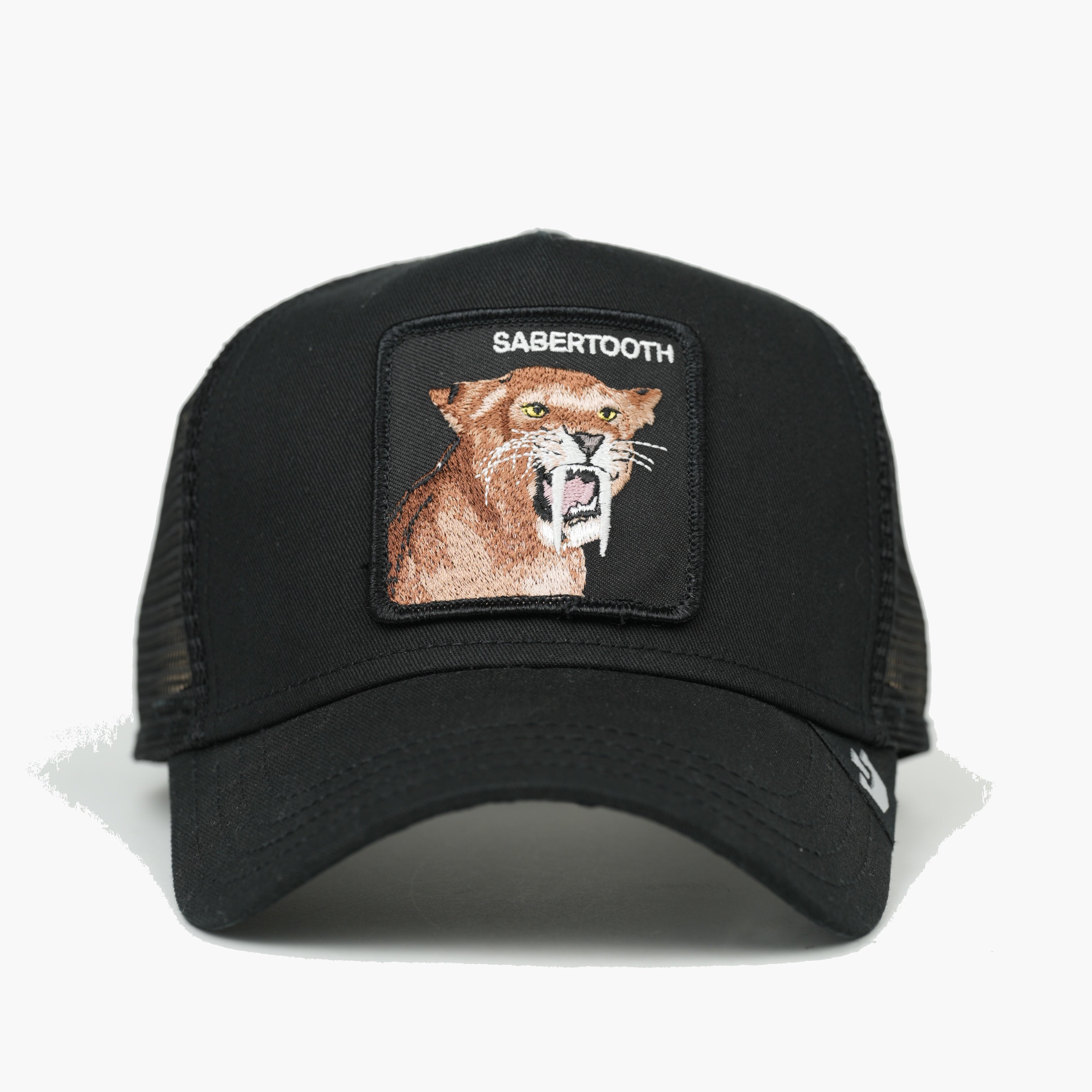 Sabertooth