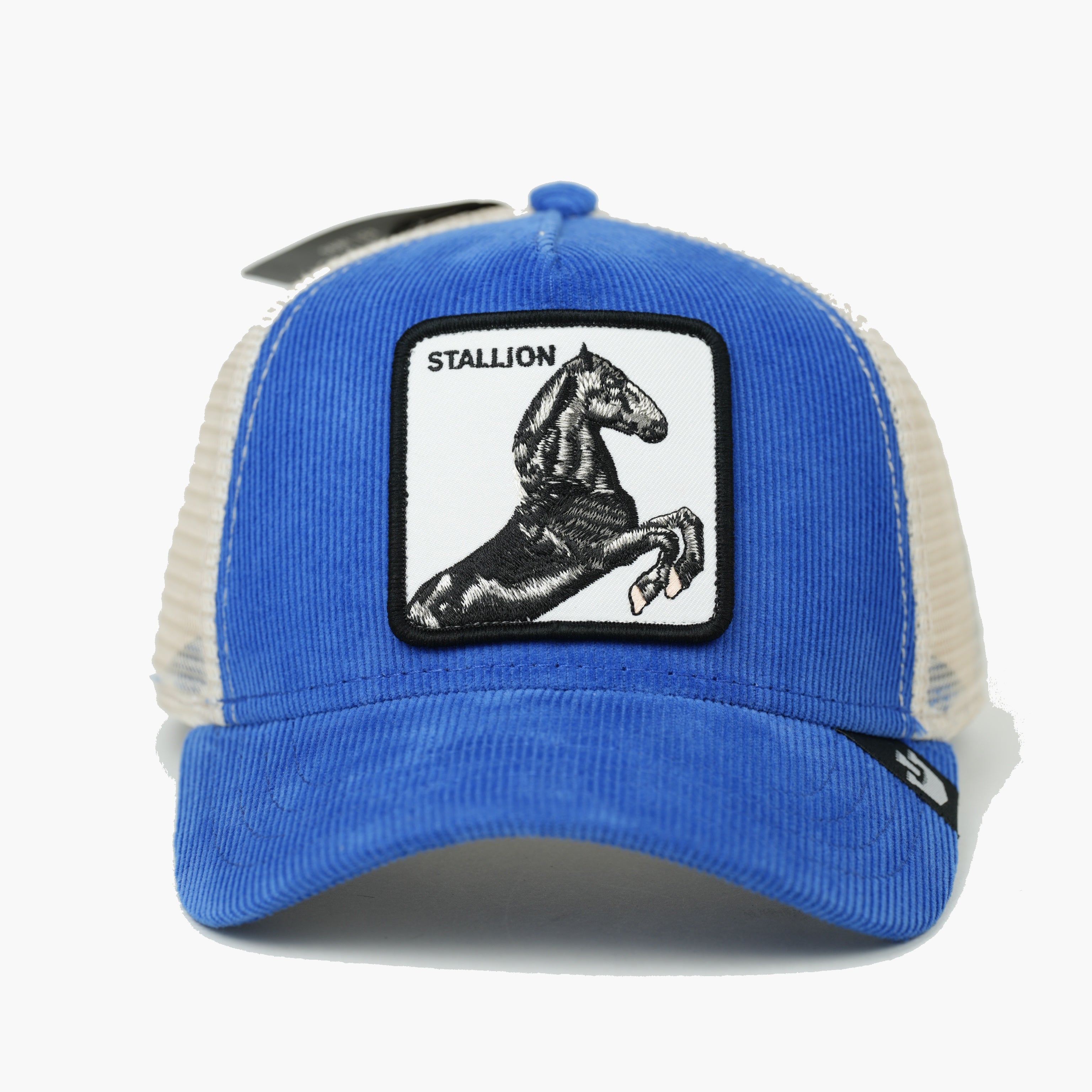 STALLION AZUL