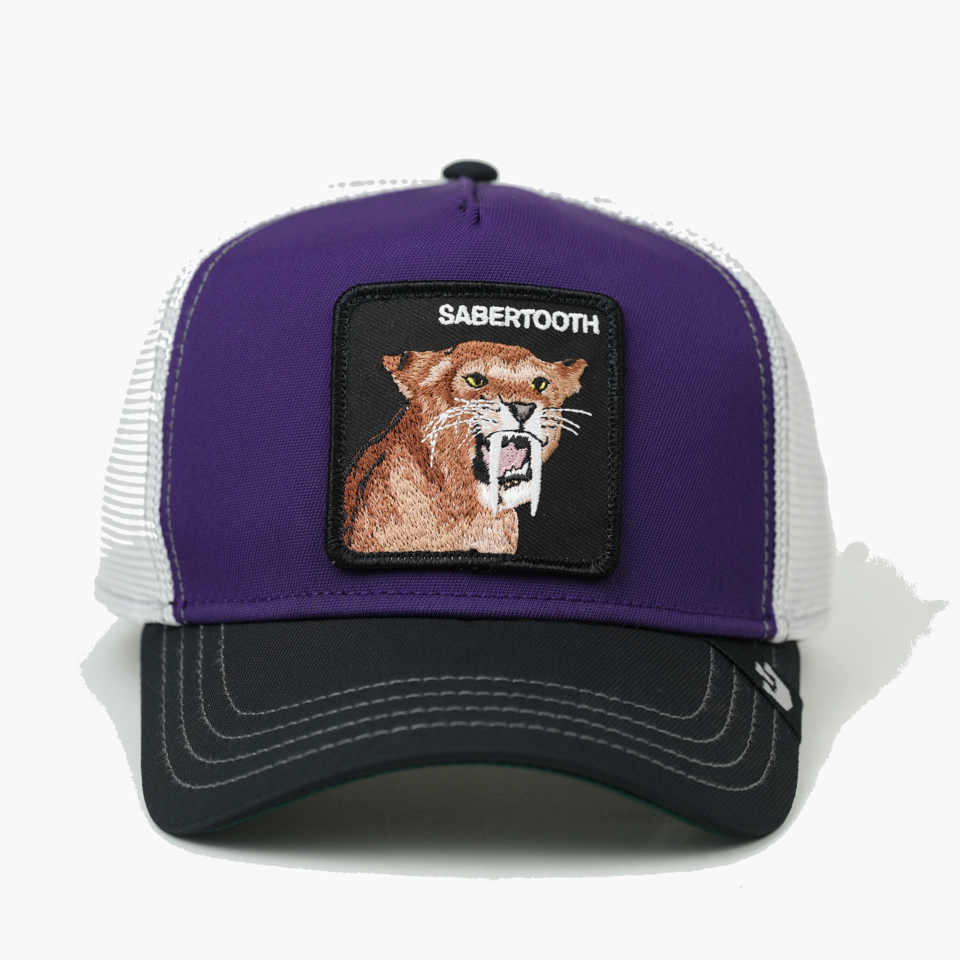 SABERTOOTH PÚRPURA
