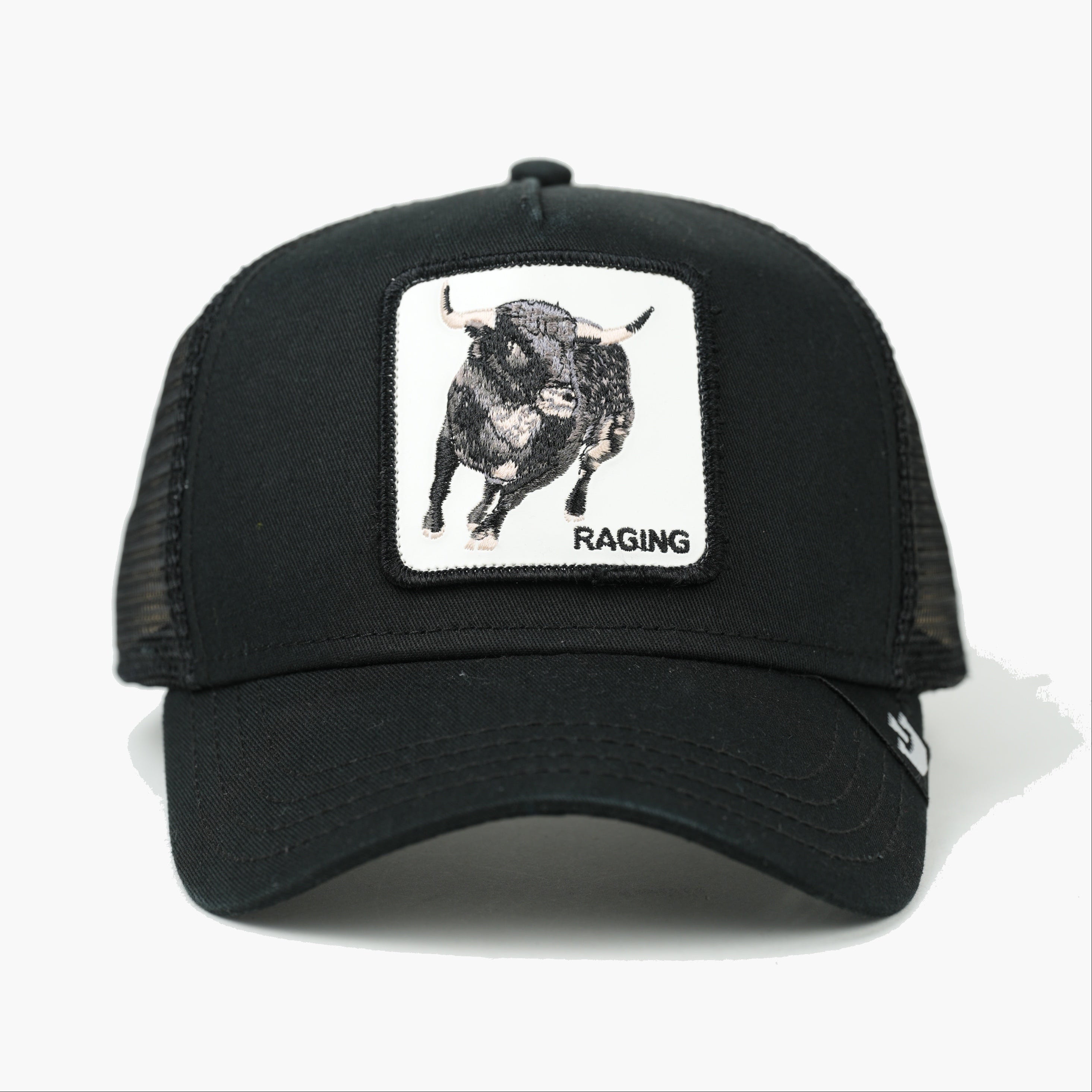 RAGING TRUCKER
