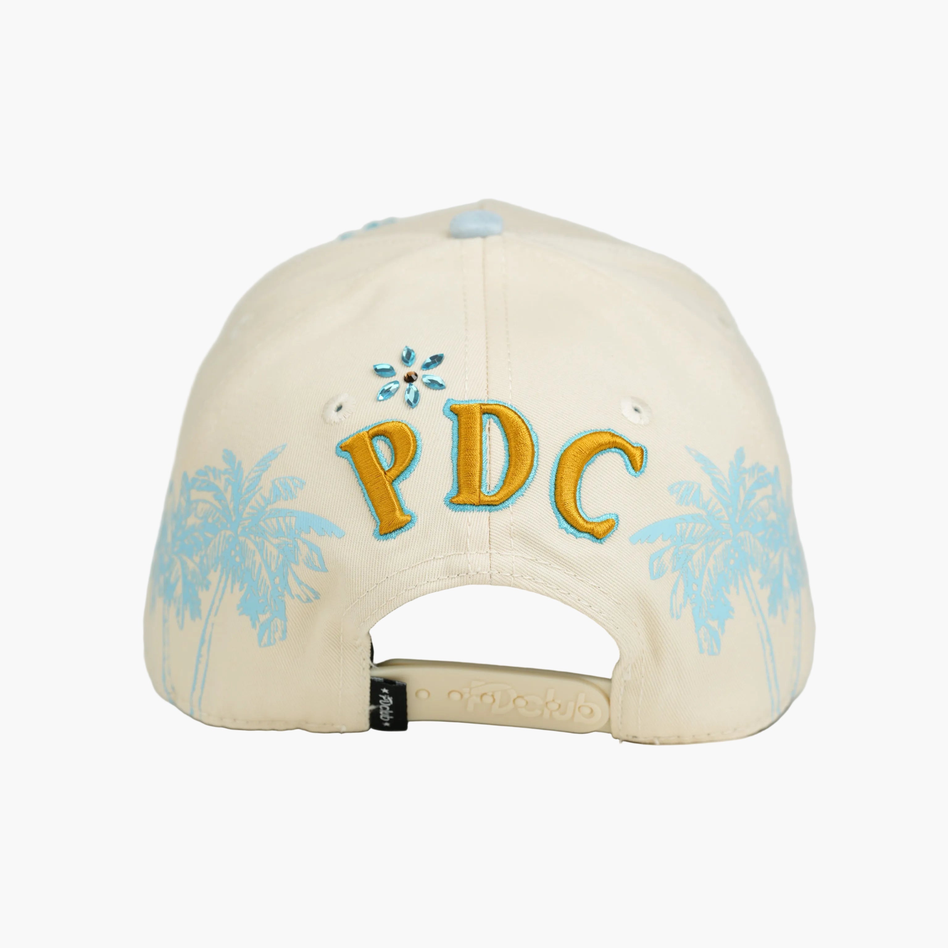 DISTRICT PDC