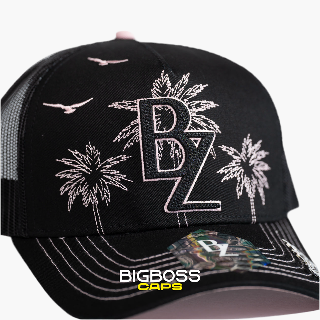 BZ PALMS