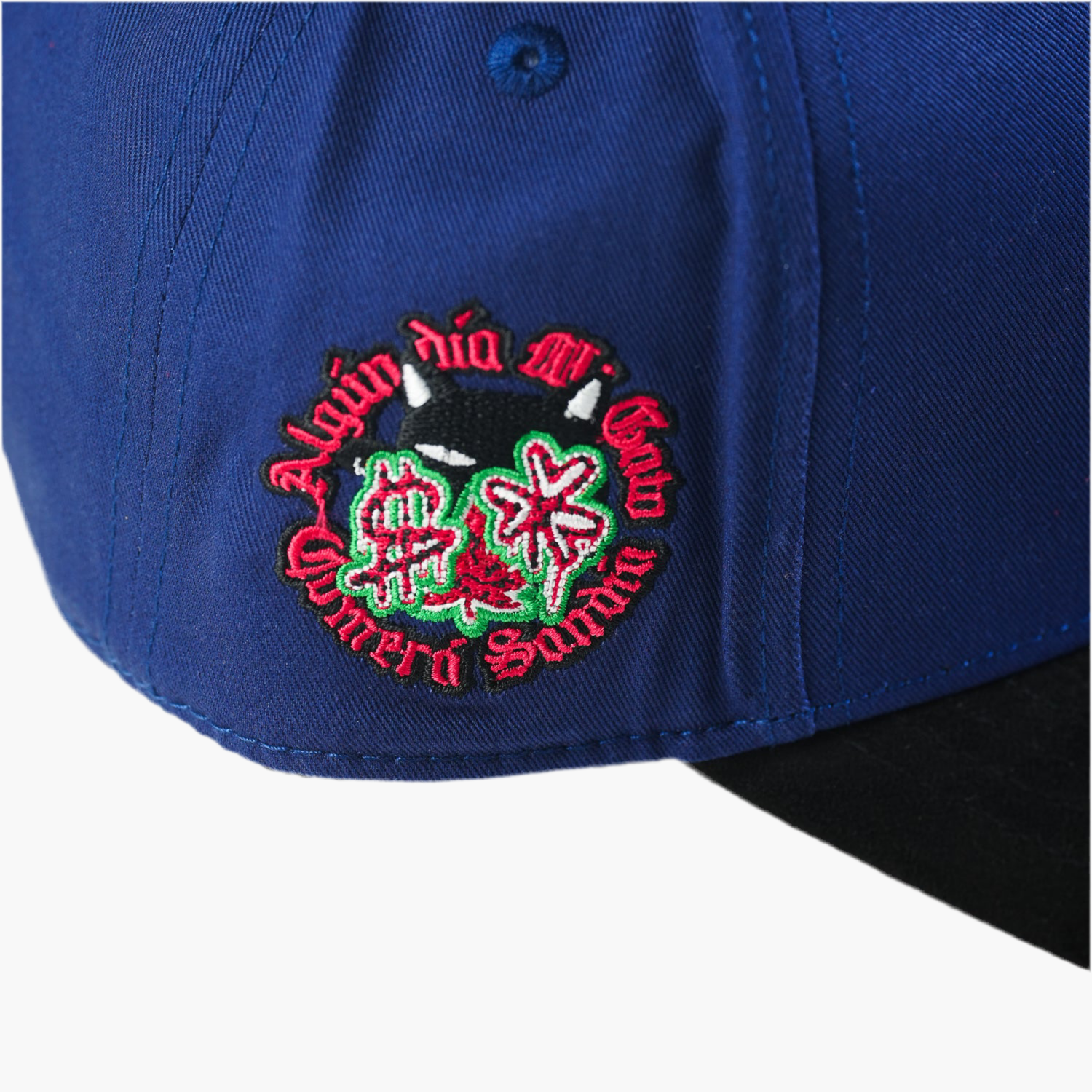 WATERMELON ON CAT BLUE