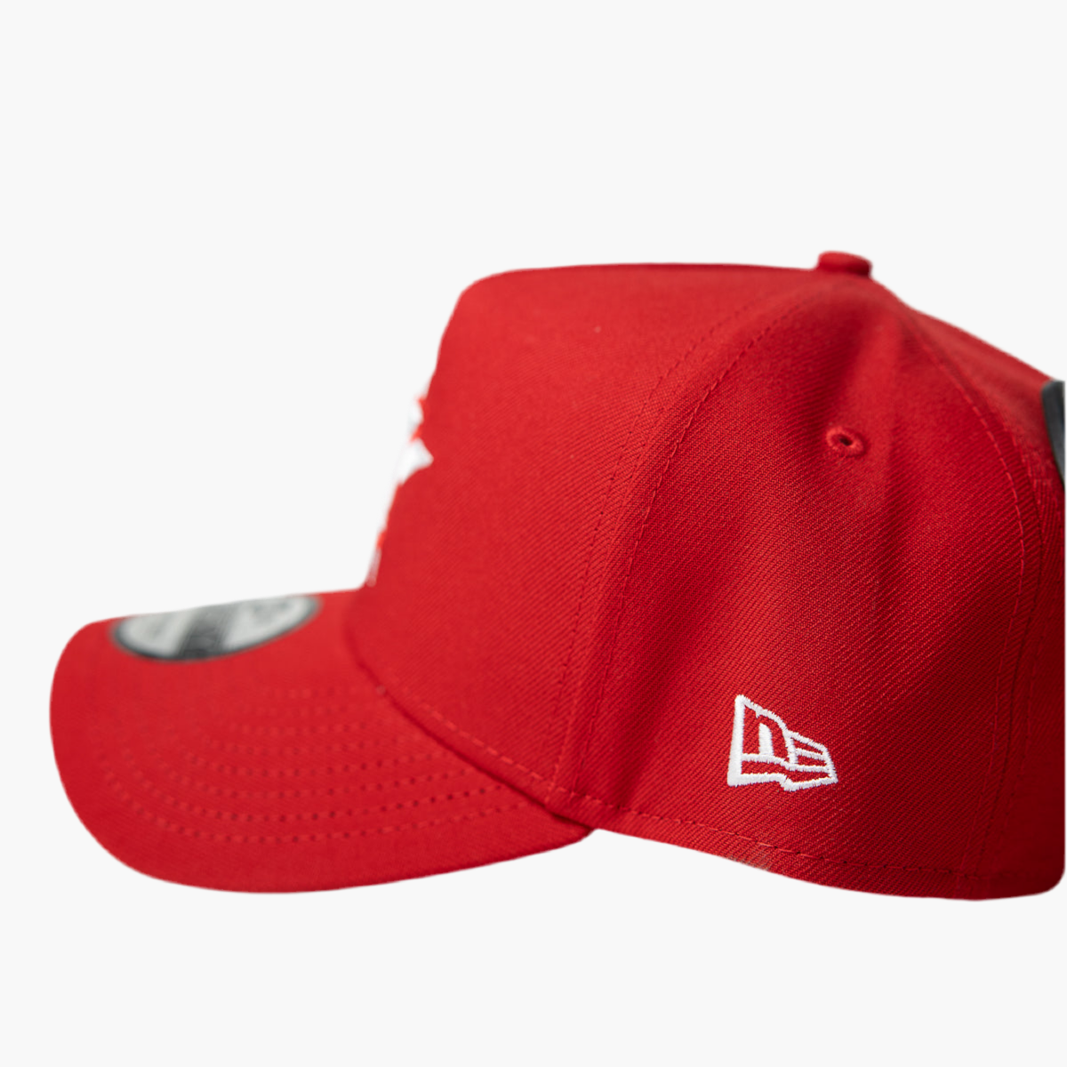HOUSTON ASTROS