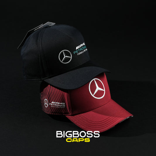Mercedes AMG Petronas - Guinda