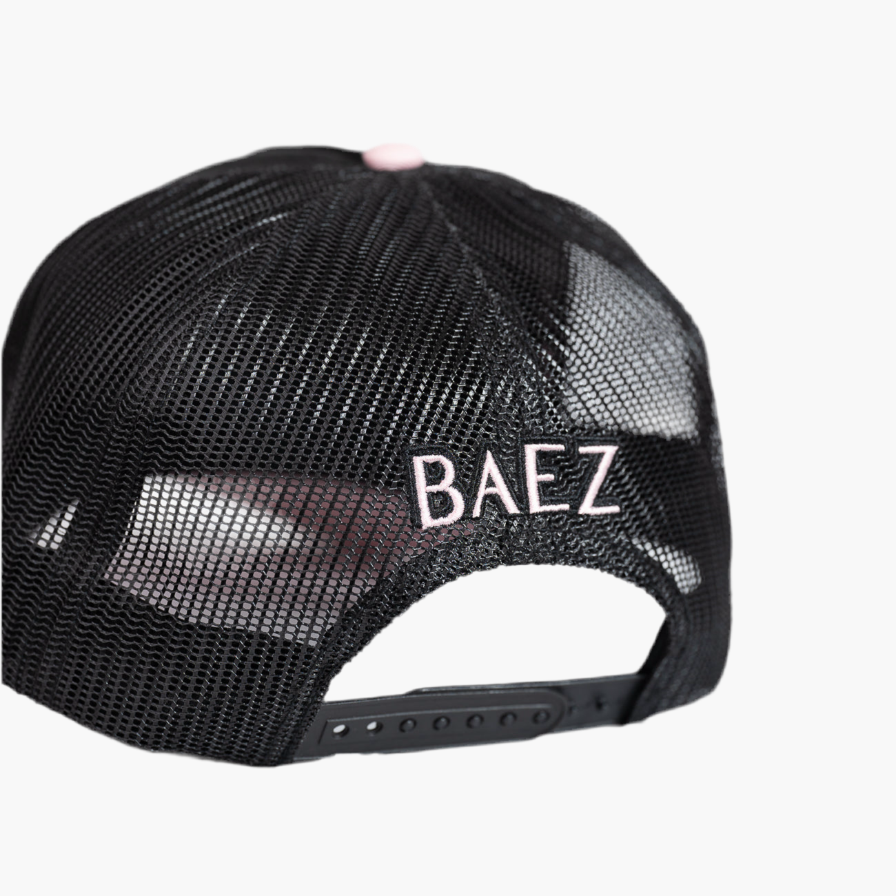 BZ PALMS