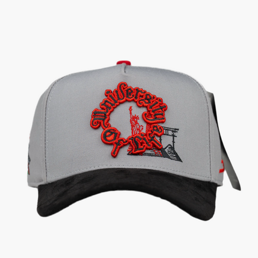 UNIVERSITY OF LIFE GRAY