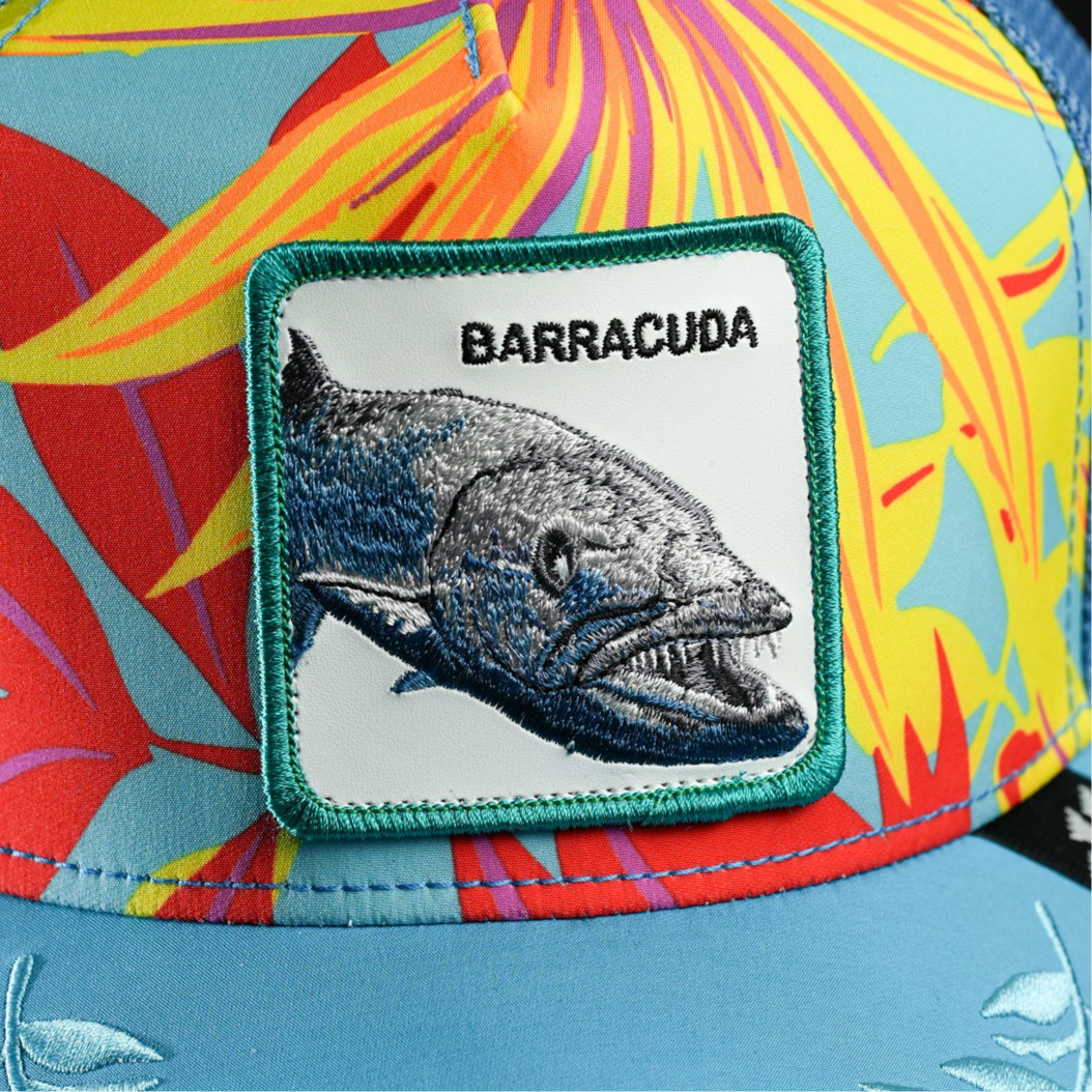 Barracuda