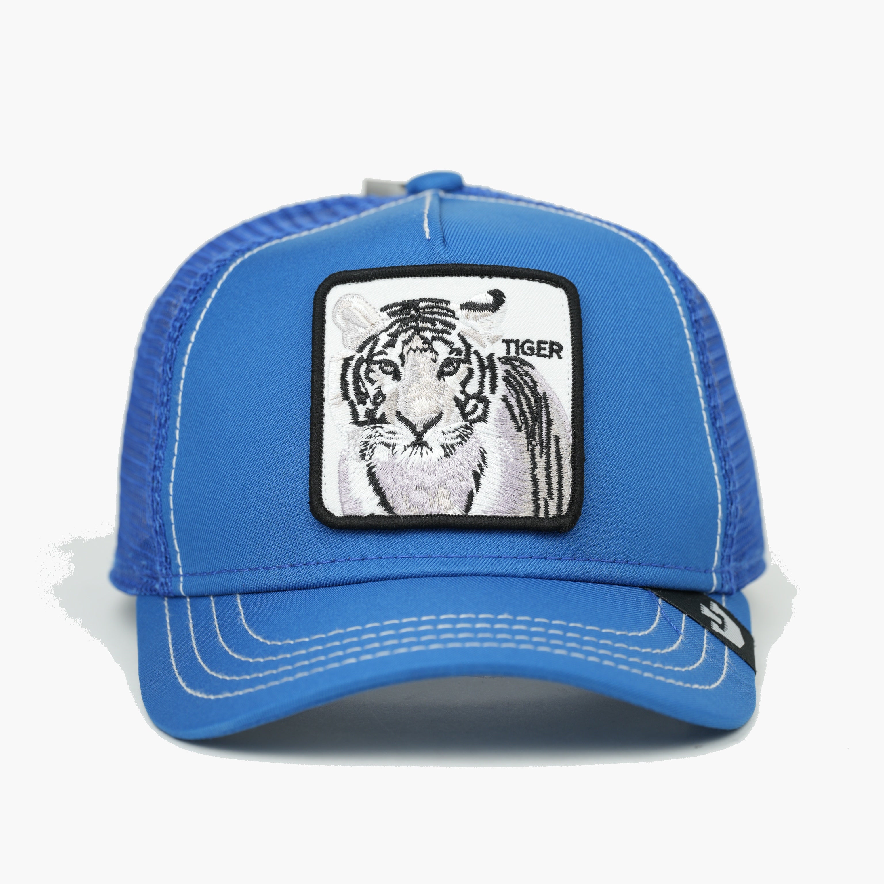 TIGER AZUL