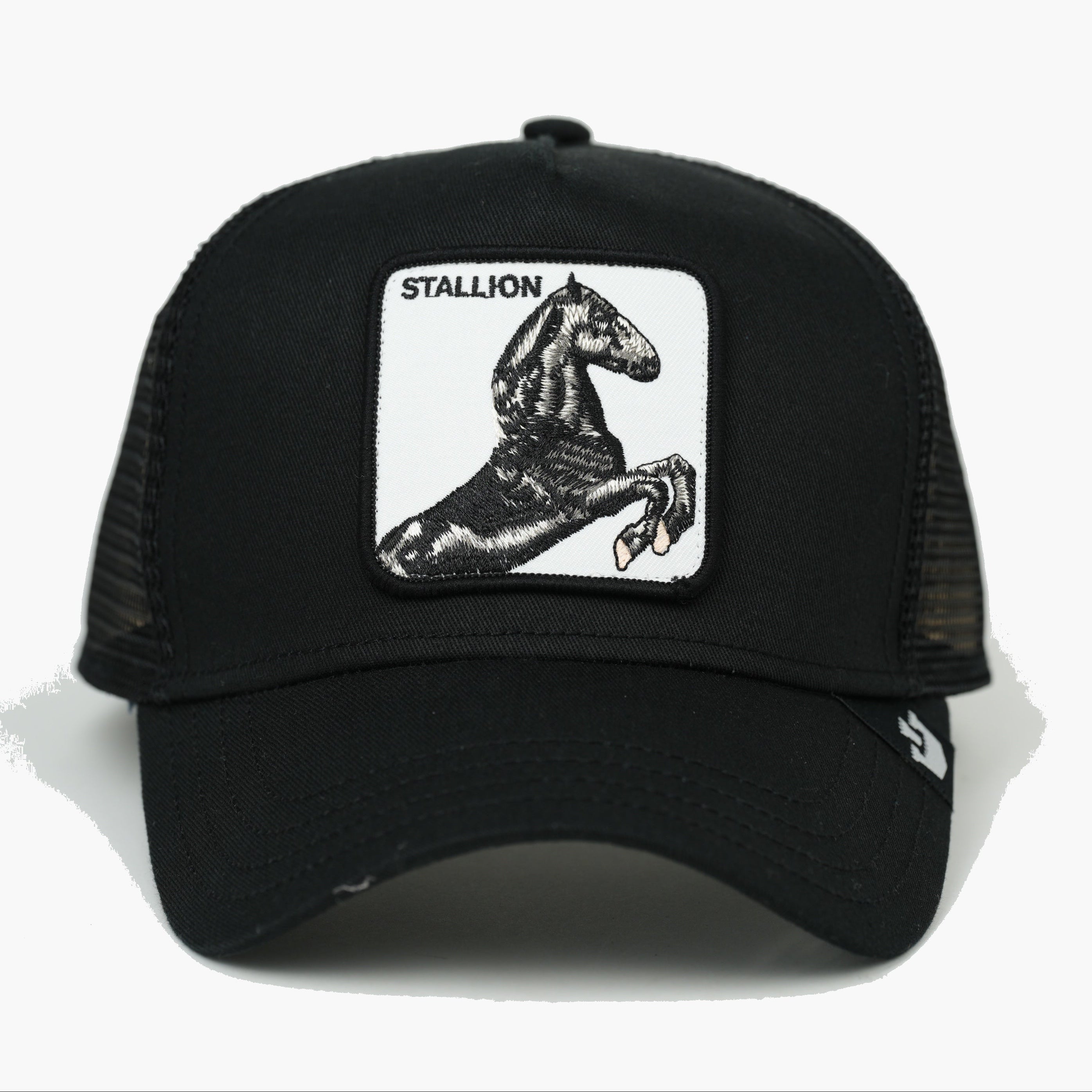 STALLION NEGRO