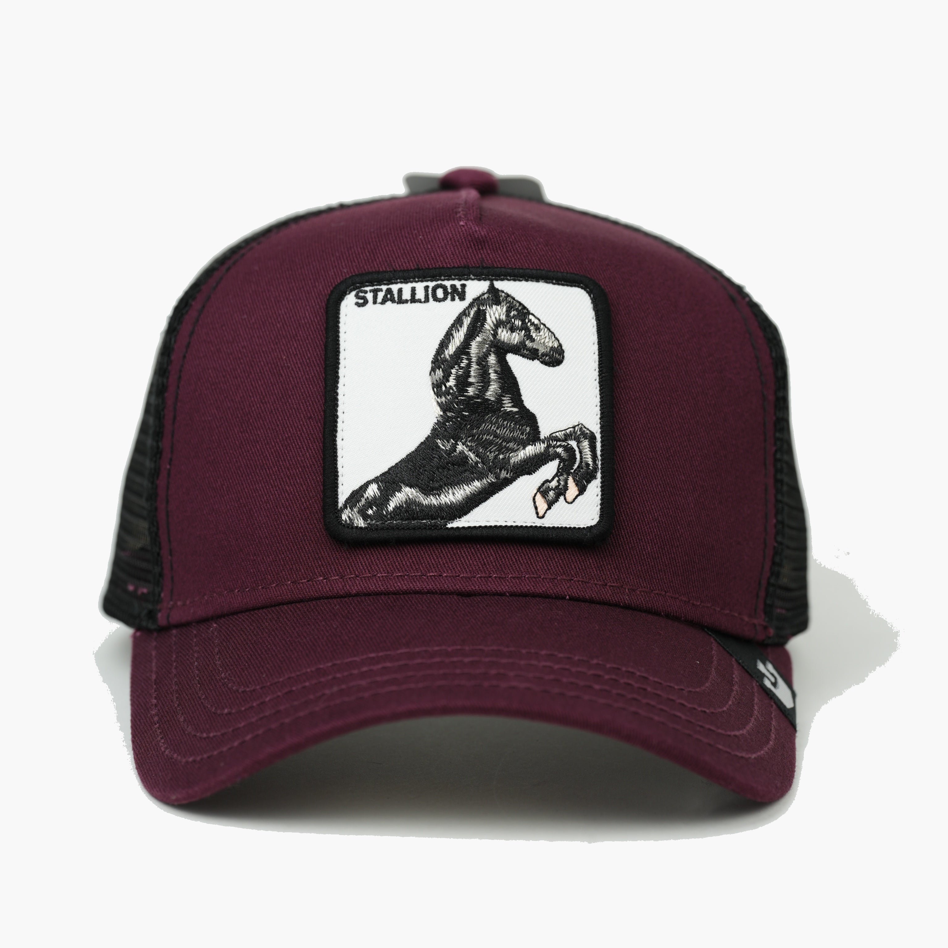 STALLION VINO