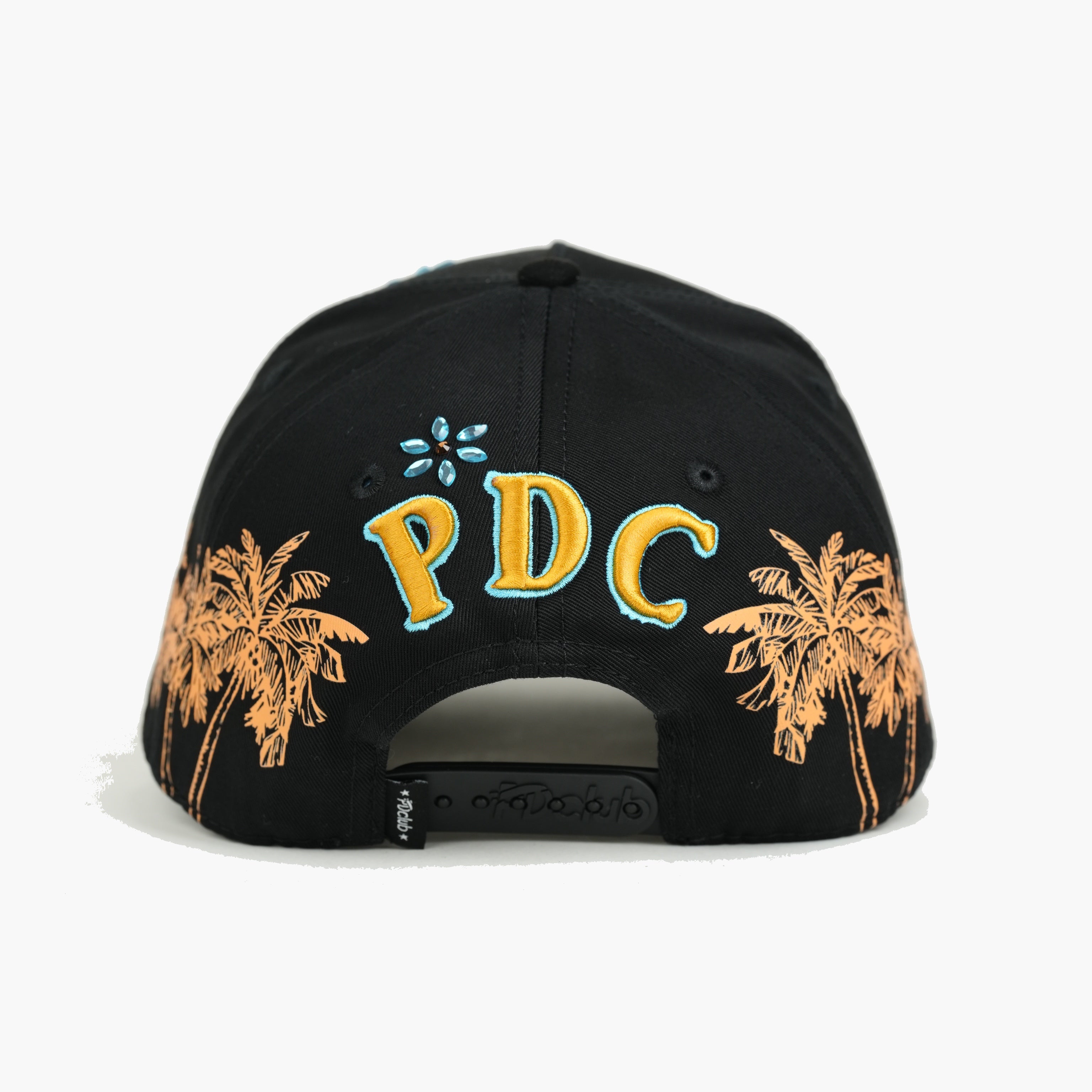 DISTRICT PDC
