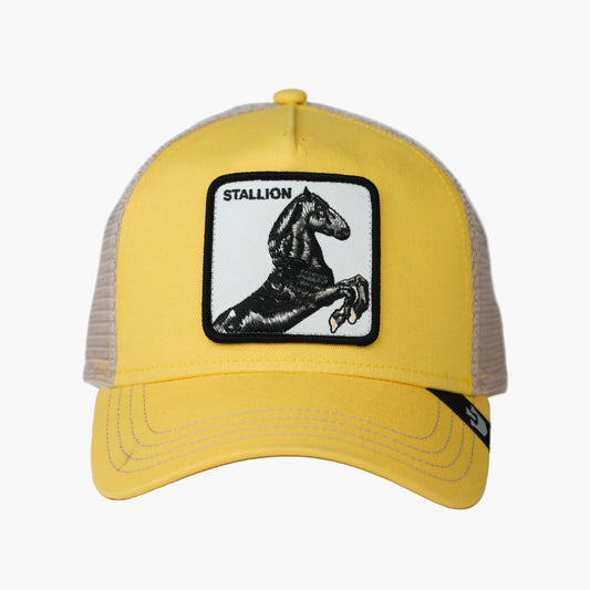 STALLION YELLOW