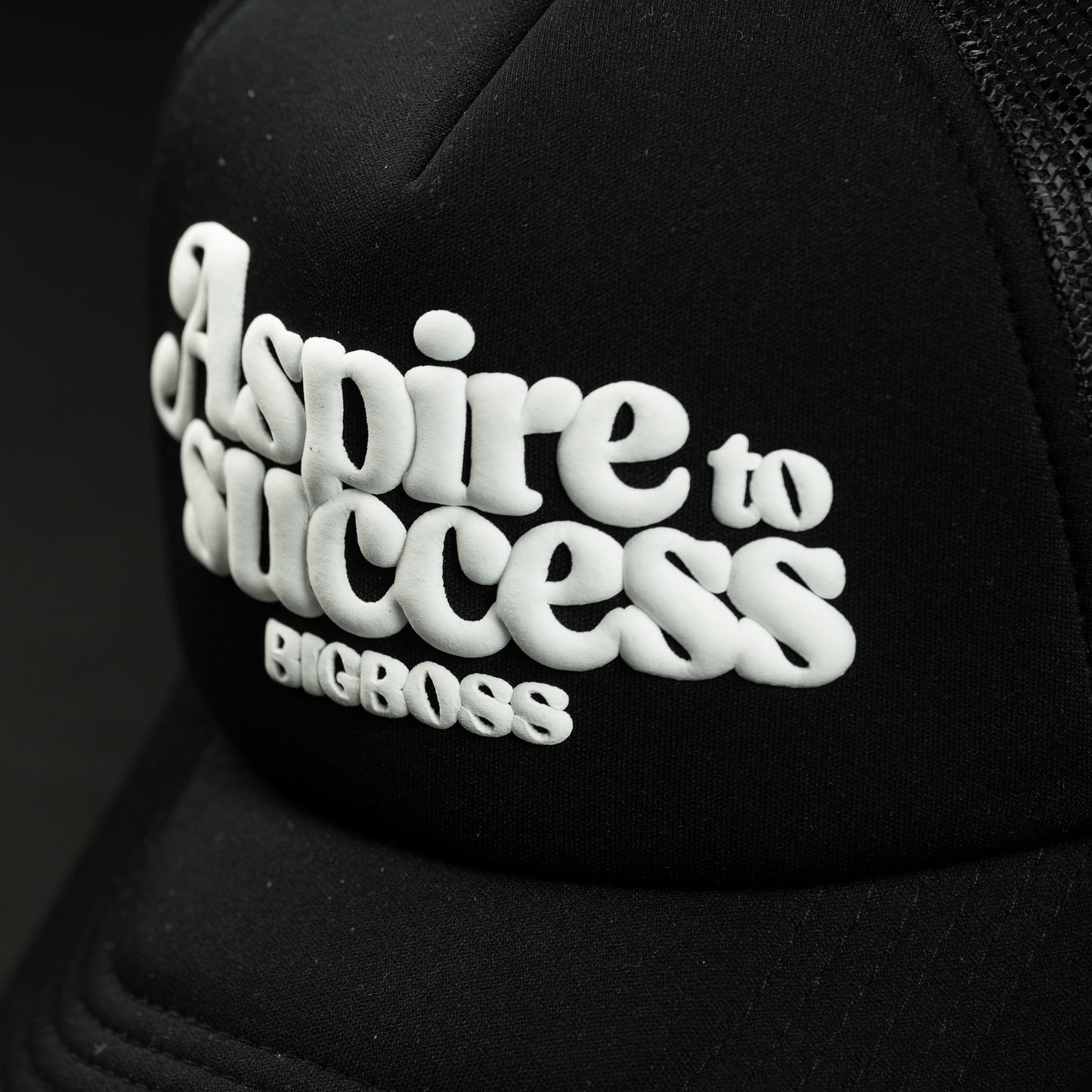 BIGBOSS - Aspire To Success