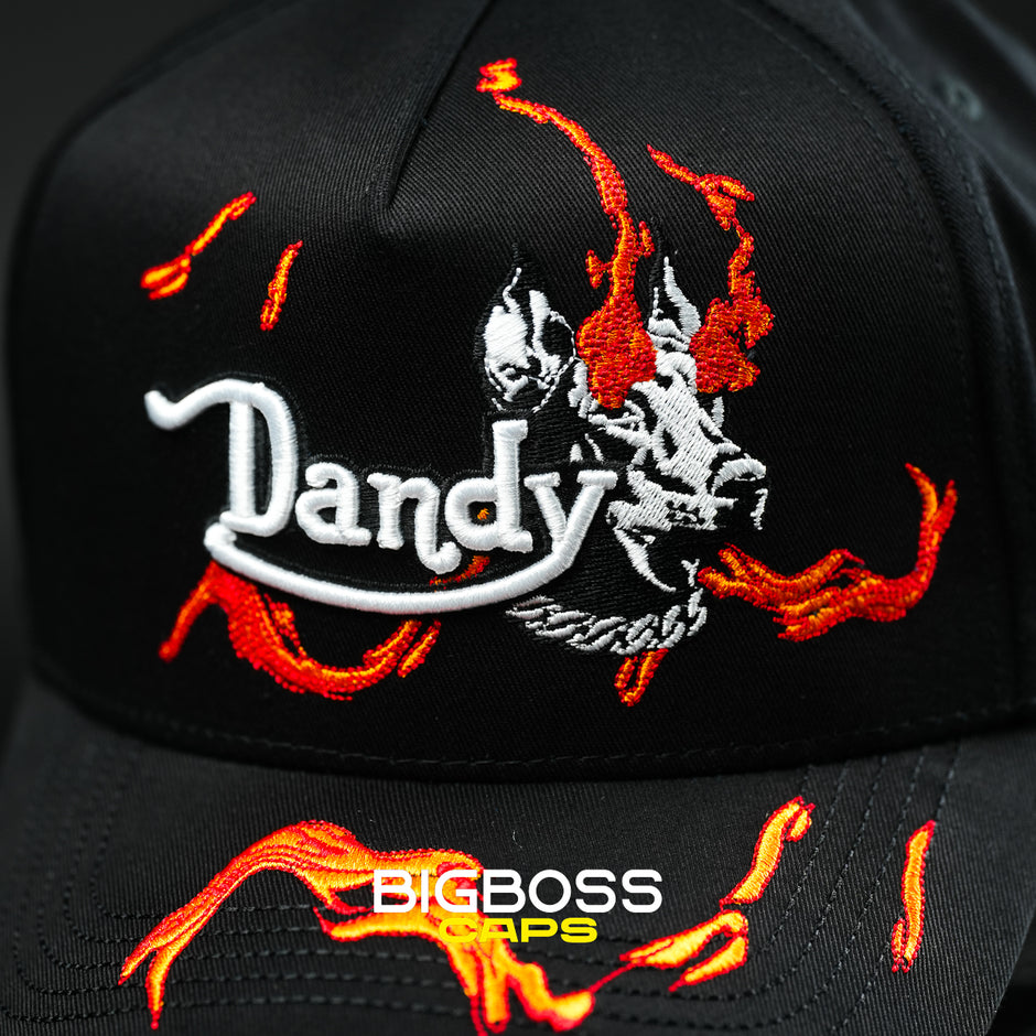 DANDY HATS – Bigboss Caps