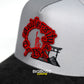 UNIVERSITY OF LIFE GRAY