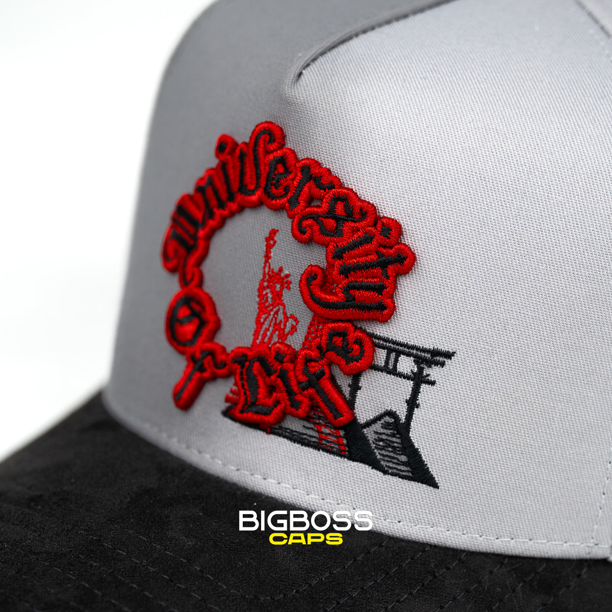 UNIVERSITY OF LIFE GRAY