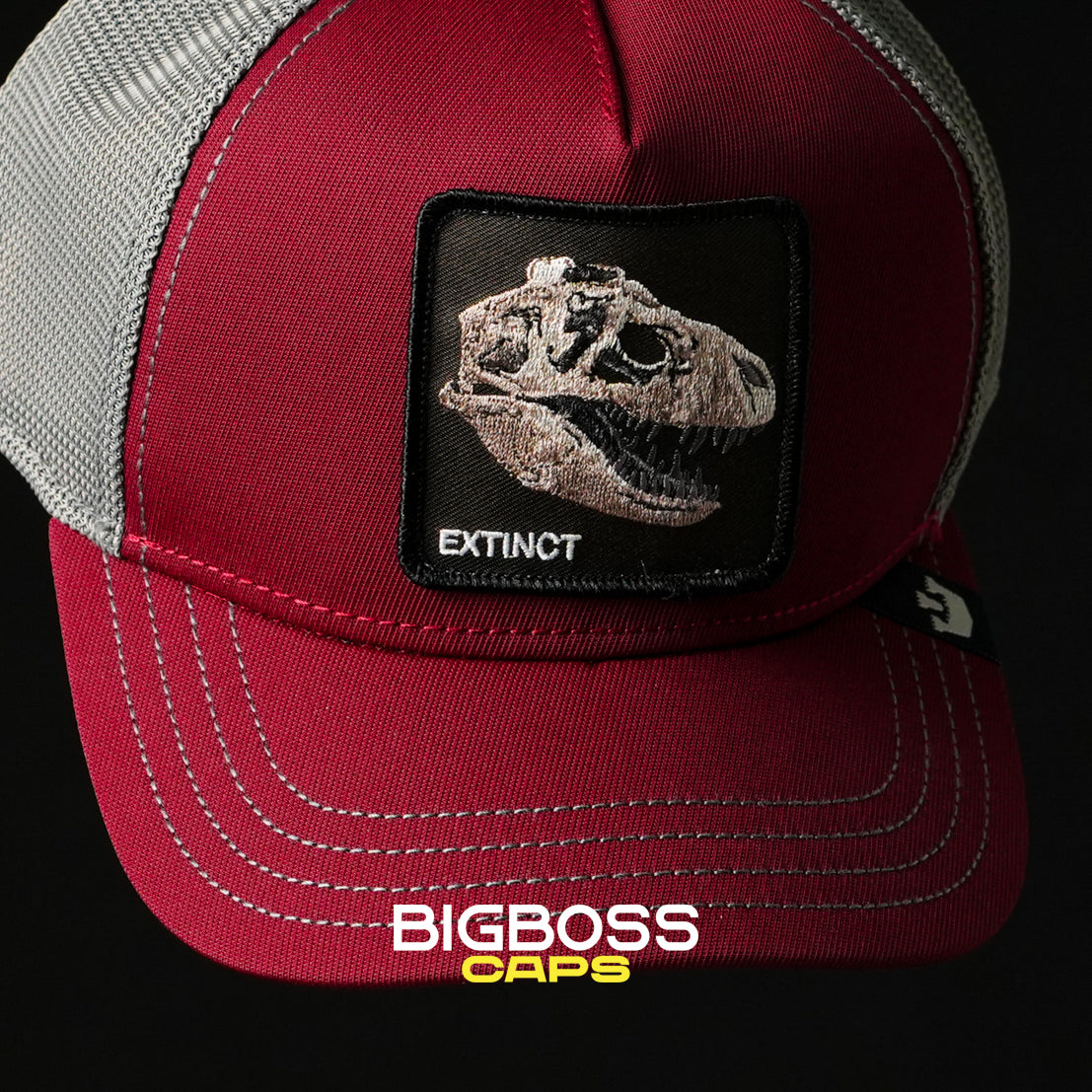 Goorin Bros. Extinct Kids Collection Truckerpet voor jongens en meisjes, Houtskool (Fuzzy Trunk), one size Goorin Bros. Extinct Kids Collection Truckerpet voor jongens en meisjes, Houtskool (Fuzzy Trunk), one size